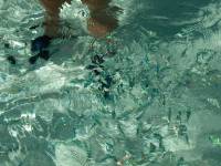 bora bora snorkeling 3 